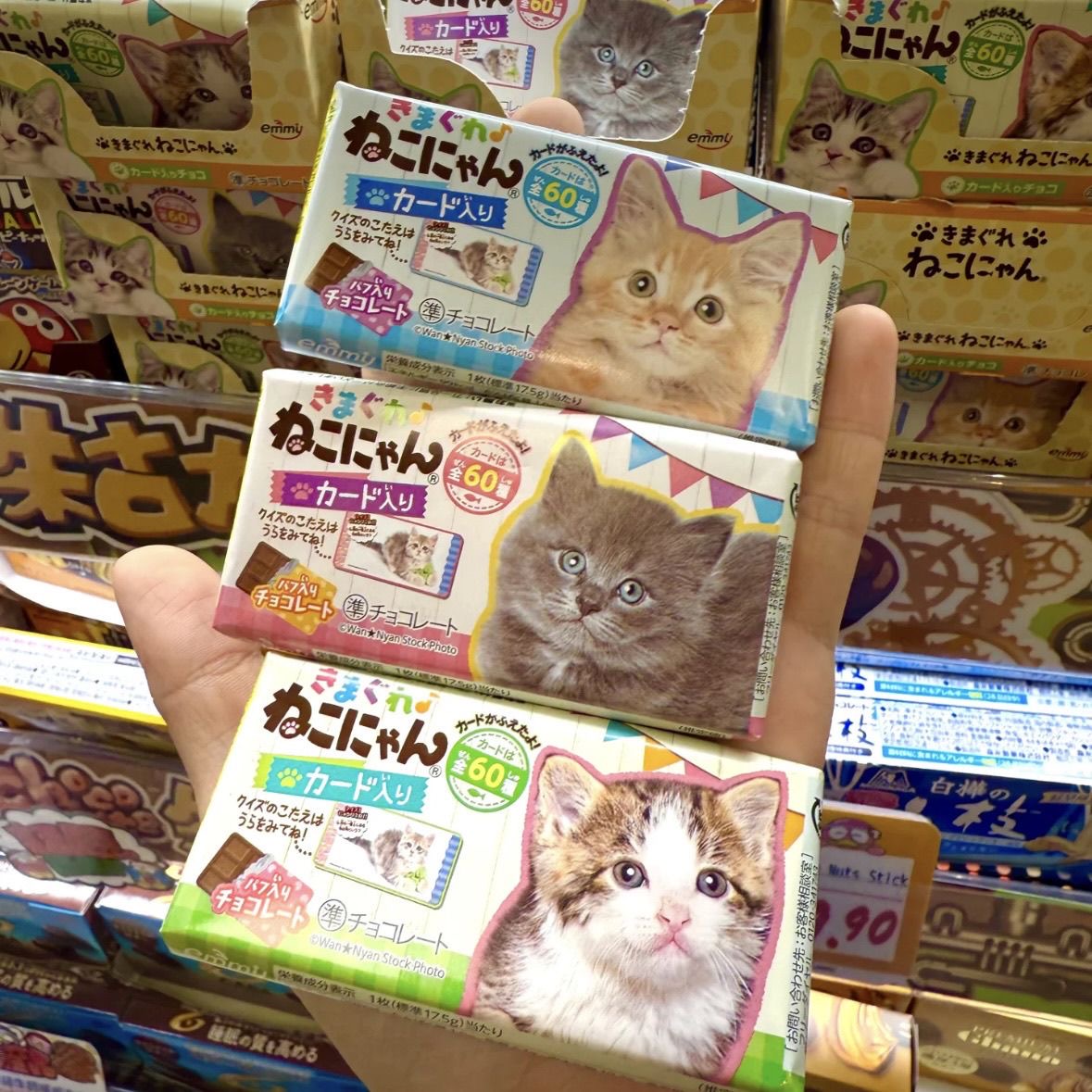 Blind Box Style DONKI Cat & Dog Chocolate – Random Pattern, Each Pack Is A Surprise